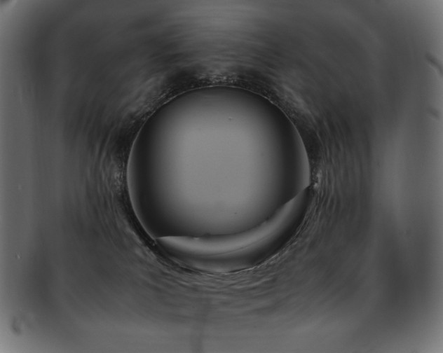 X0000092280039200709141230