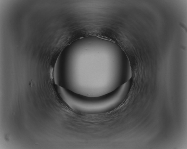 X0000092280041200709141230