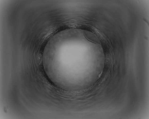 X0000092280043200709141230