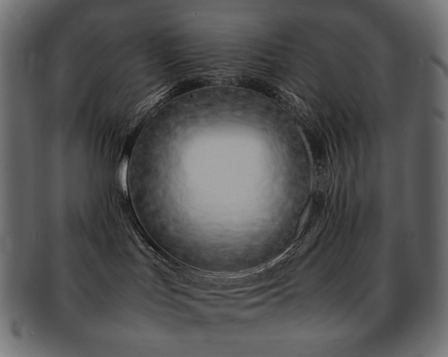 X0000092280047200709141229