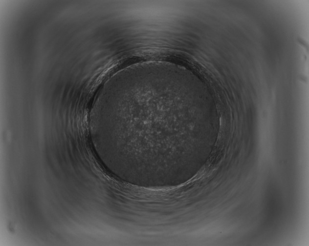 X0000092280048200709141229