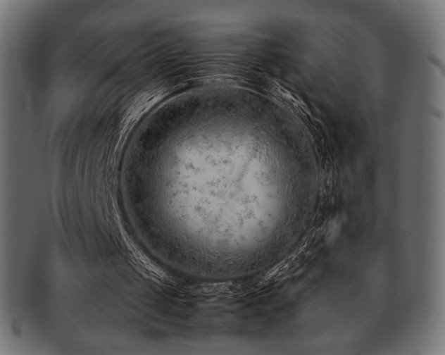 X0000092280049200709141229