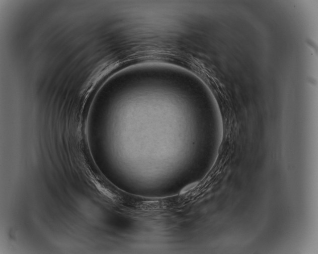 X0000092280050200709141229