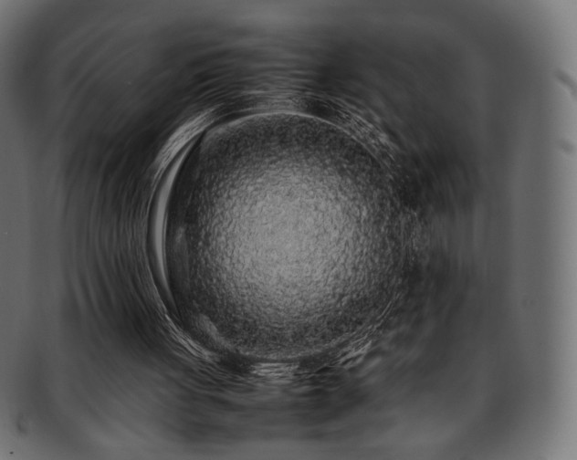 X0000092280051200709141229