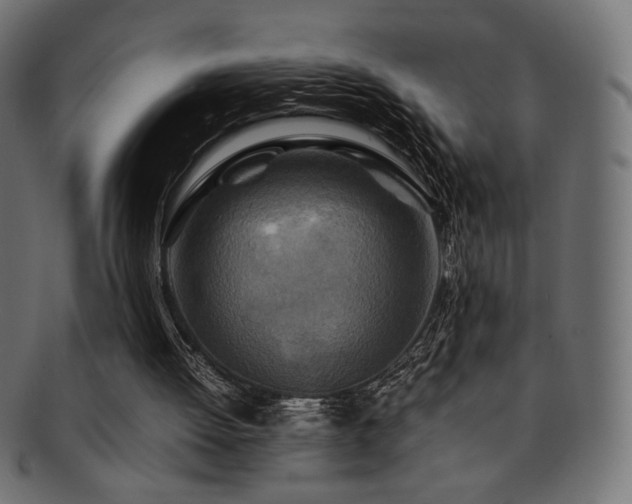 X0000092280052200709141229