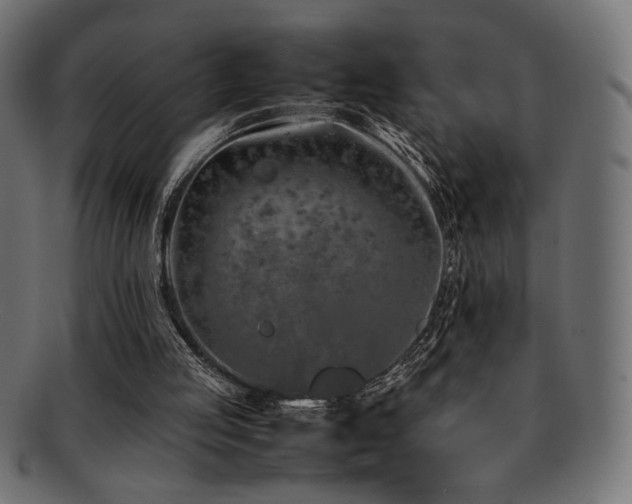 X0000092280053200709141229