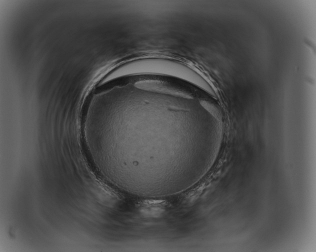 X0000092280055200709141229