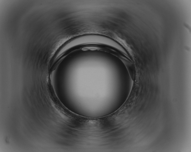 X0000092280060200709141229