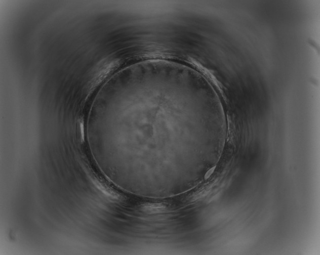 X0000092280061200709141229