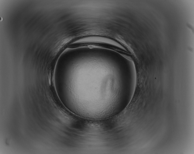 X0000092280062200709141229