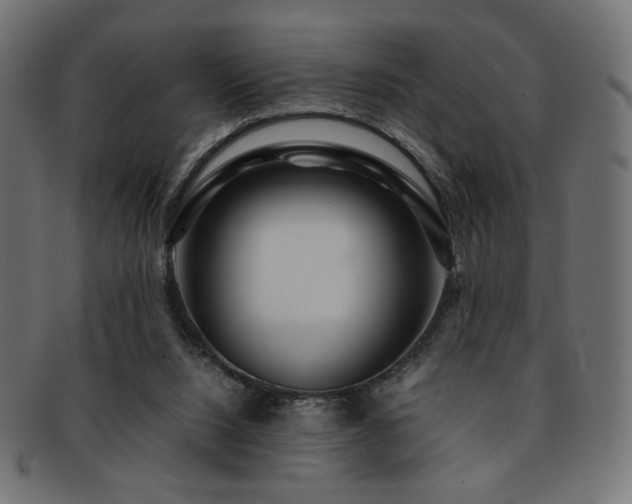 X0000092280064200709141229