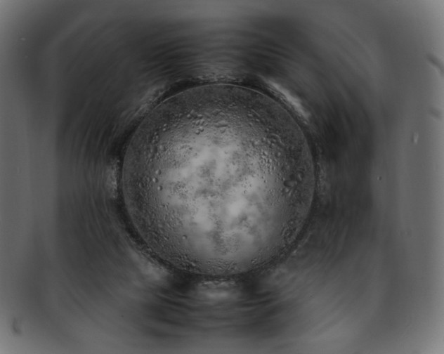 X0000092280065200709141229