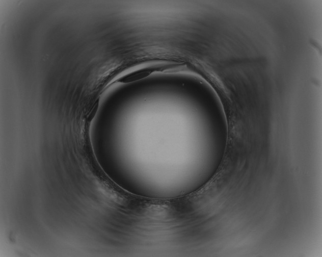 X0000092280066200709141229