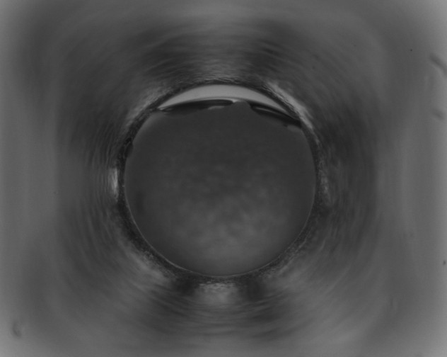 X0000092280067200709141229