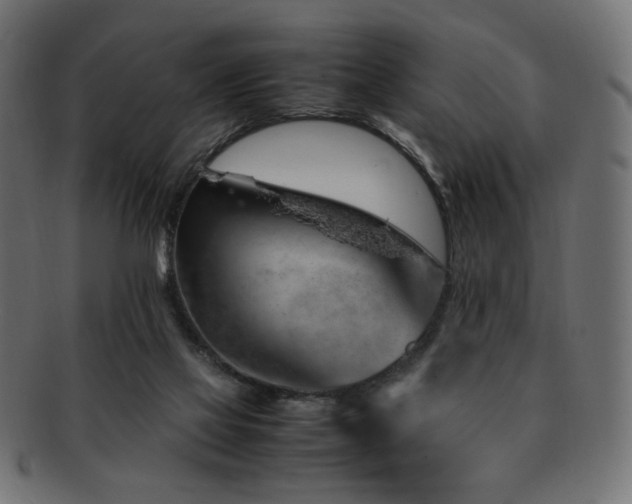 X0000092280069200709141229