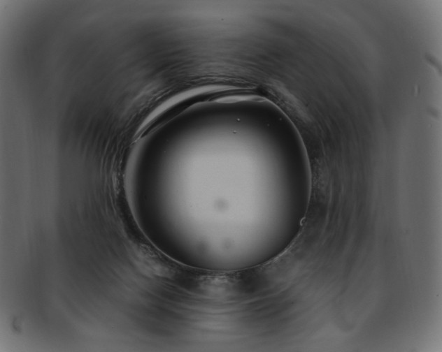 X0000092280074200709141229