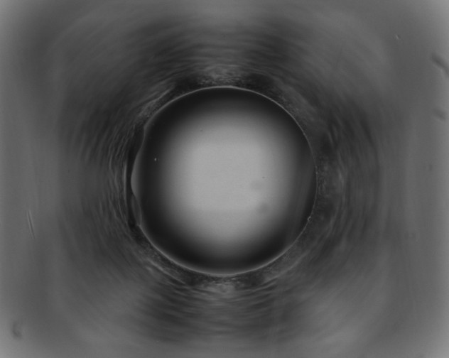 X0000092280075200709141229