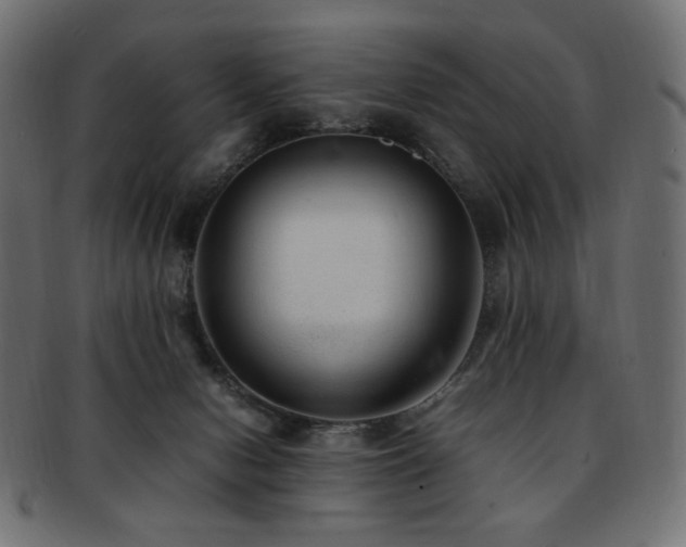 X0000092280078200709141229