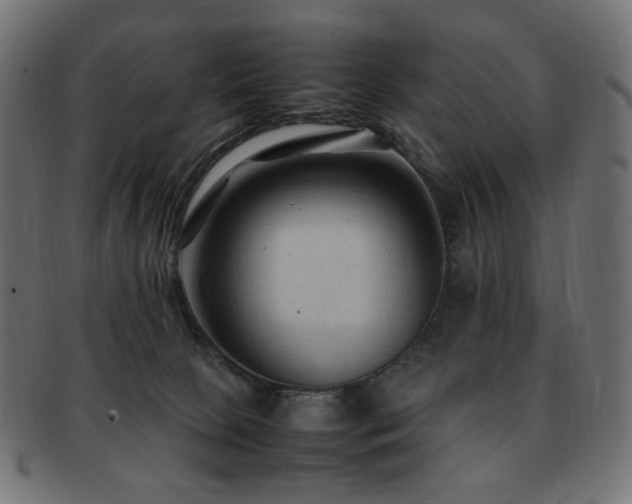 X0000092280081200709141229