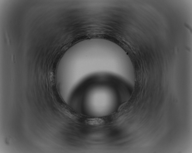 X0000092280087200709141229