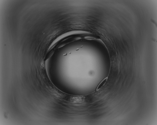 X0000092280089200709141229