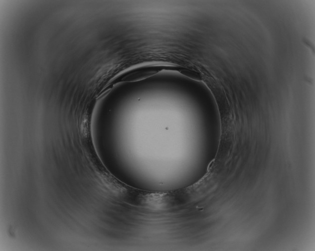 X0000092280090200709141229