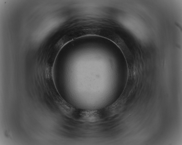 X0000092280093200709141229