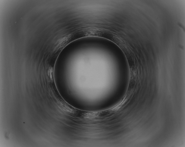 X0000092280094200709141229