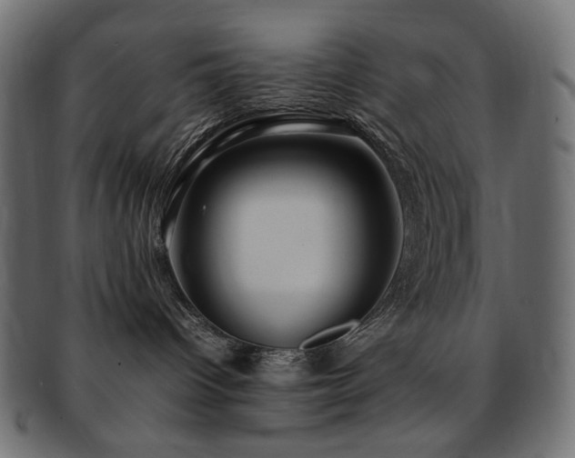 X0000092280096200709141229