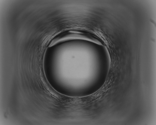 X0000092280097200709141229