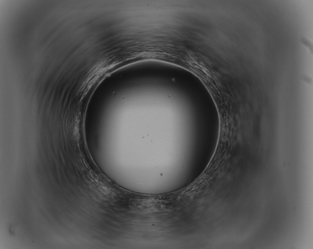 X0000092280098200709141229