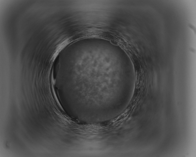 X0000092280099200709141229