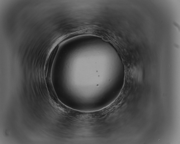 X0000092280100200709141229