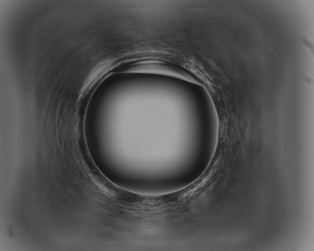 X0000092280101200709141229