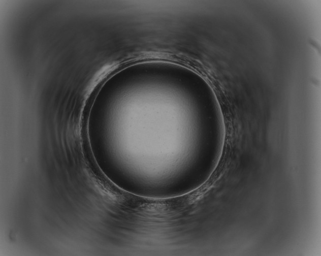 X0000092280104200709141229