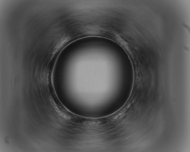 X0000092280106200709141229