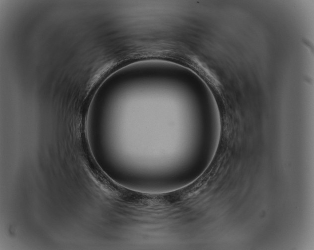 X0000092280107200709141229