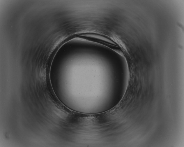 X0000092280108200709141229