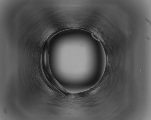 X0000092280109200709141229