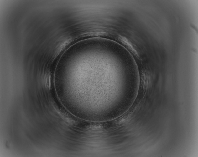 X0000092280110200709141229