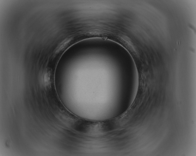 X0000092280116200709141229