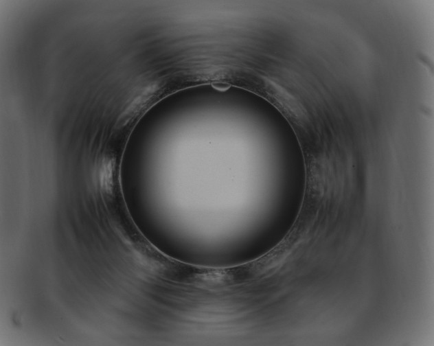 X0000092280118200709141229