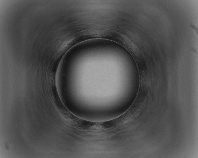 X0000092280119200709141229