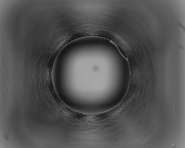 X0000092280121200709141229