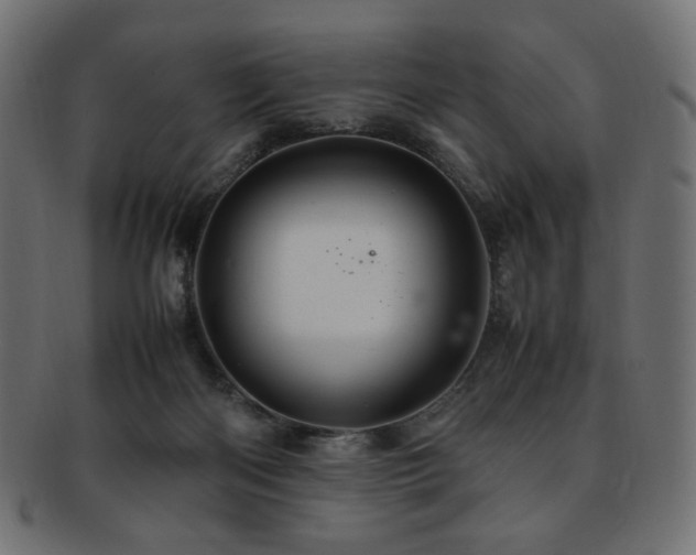 X0000092280122200709141229