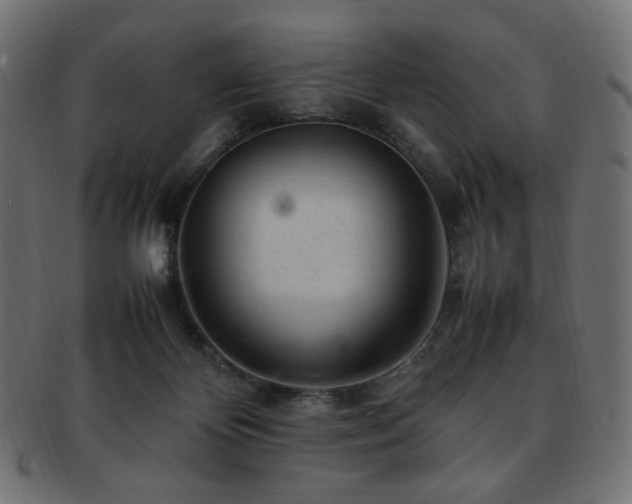 X0000092280124200709141229