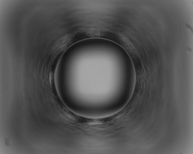 X0000092280125200709141229