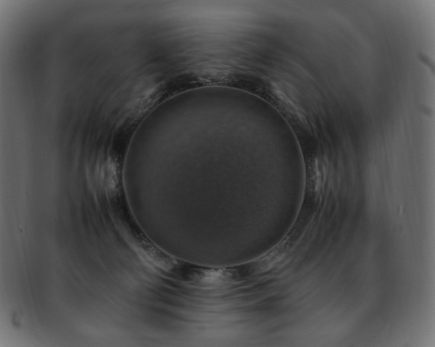 X0000092280130200709141228