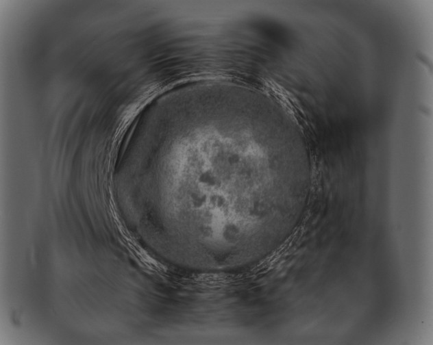 X0000092280145200709141228