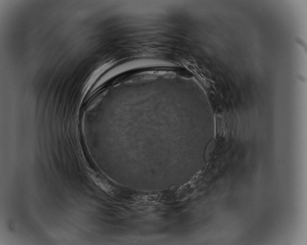 X0000092280147200709141228